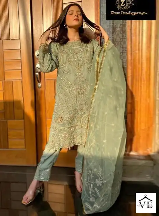 Ziaaz 263 Organza Wholesale Pakistani Suit — Wholesale Salwar Suits, MPA wholesale from Surat — view 1