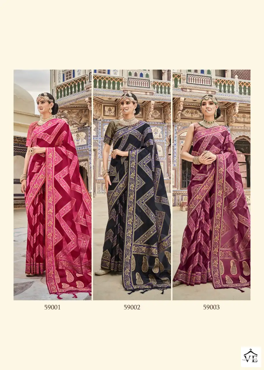 Rajpath Amelia Dola Organza Wholesale Saree Catalog — Wholesale Sarees, MPA wholesale from Surat — view 8