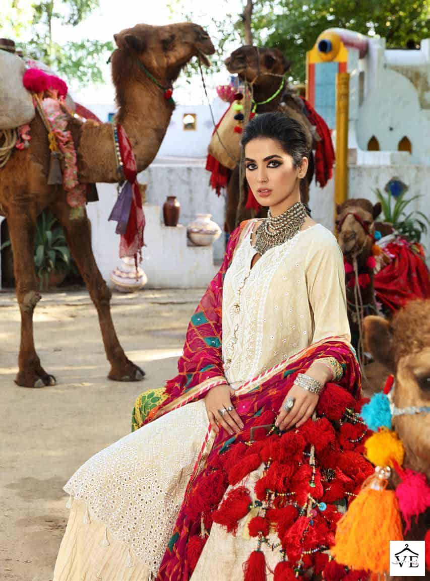 Hoor Tex H-02 Heavy Lawn Cotton Wholesale Pakistani Suit — Wholesale Salwar Suits, MPA wholesale from Surat - Gallery Image 2
