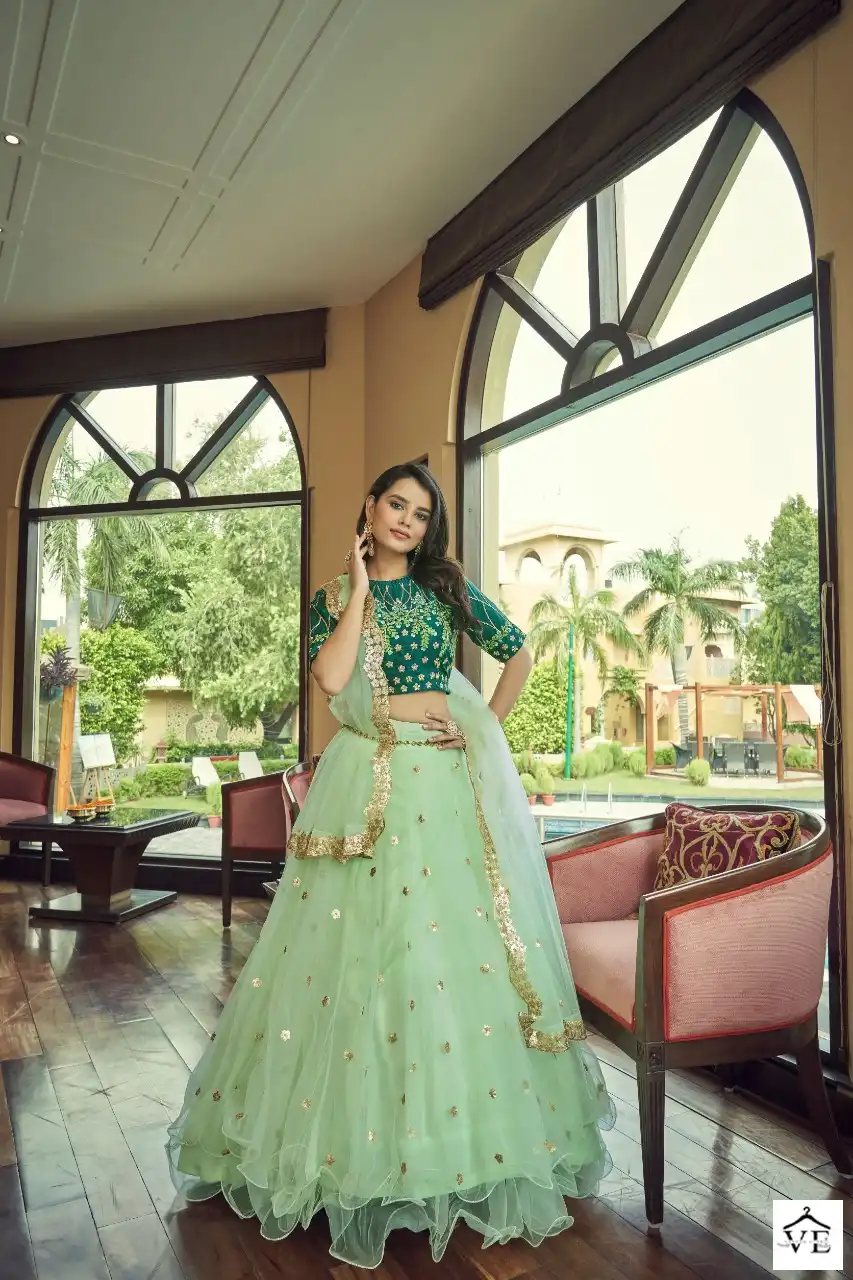 Aahvan Rajwada Heavy Nylon Net Wholesale Lehenga Choli Catalog — Wholesale Lehenga, MPA wholesale from Surat - Gallery Image 3
