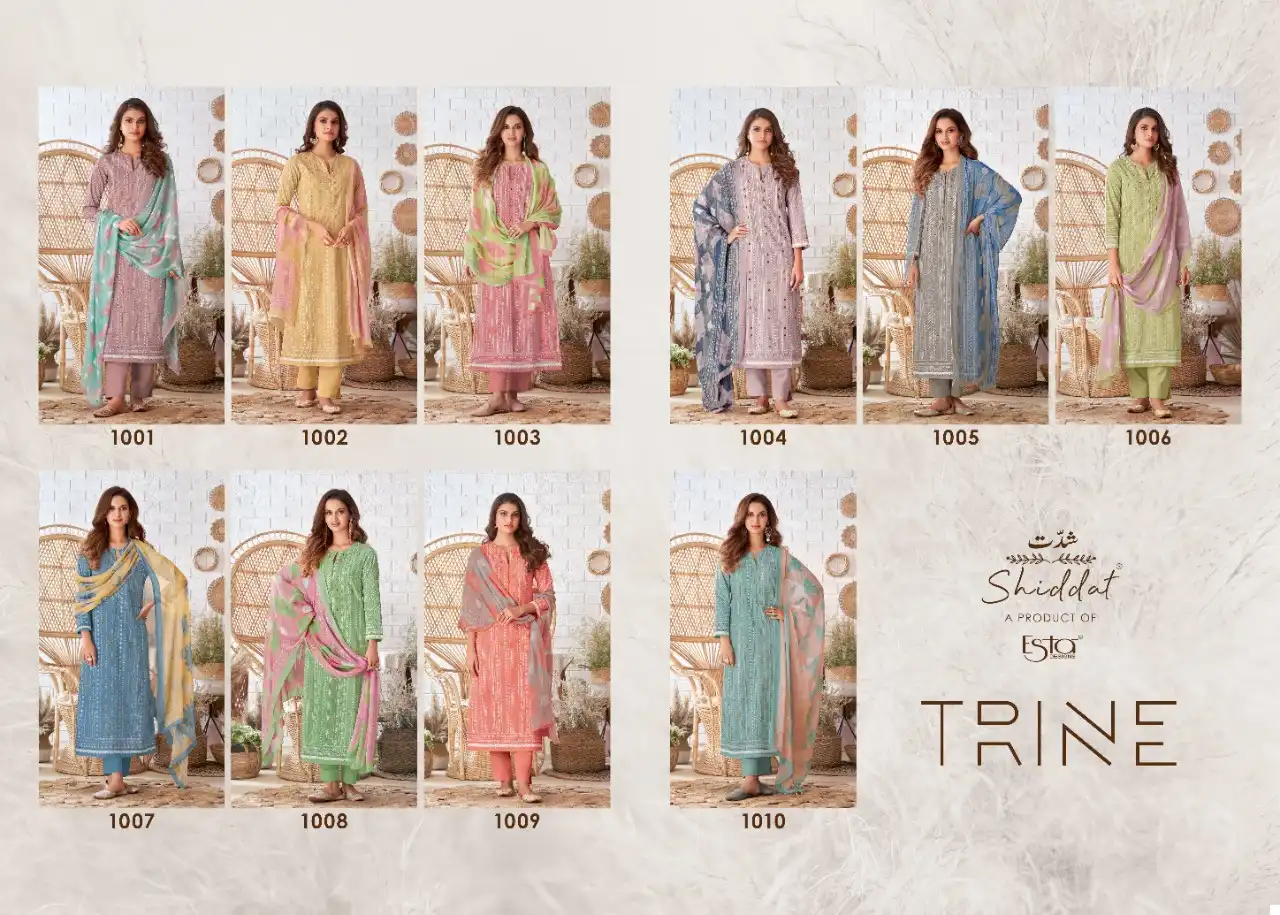 Shiddat Esta Trine Block Printed Cotton Cambric Wholesale Salwar Suit Catalog — Wholesale Salwar Suits, MPA wholesale from Surat — view 11