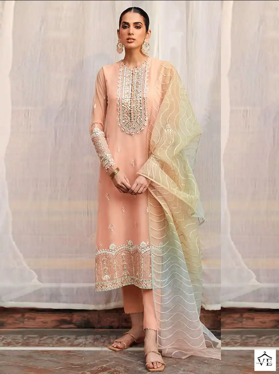 Fepic C-1522 Organza Wholesale Pakistani Suit — Wholesale Salwar Suits, MPA wholesale from Surat — view 1