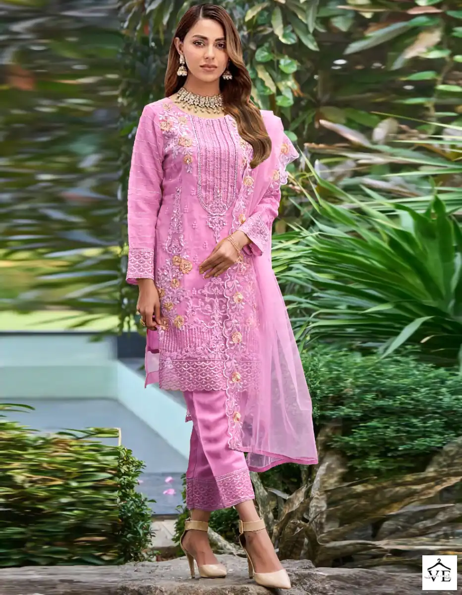 Dinsaa Dno 171 Organza Wholesale Pakistani Suits Catalog — Wholesale Salwar Suits, MPA wholesale from Surat - Gallery Image 2