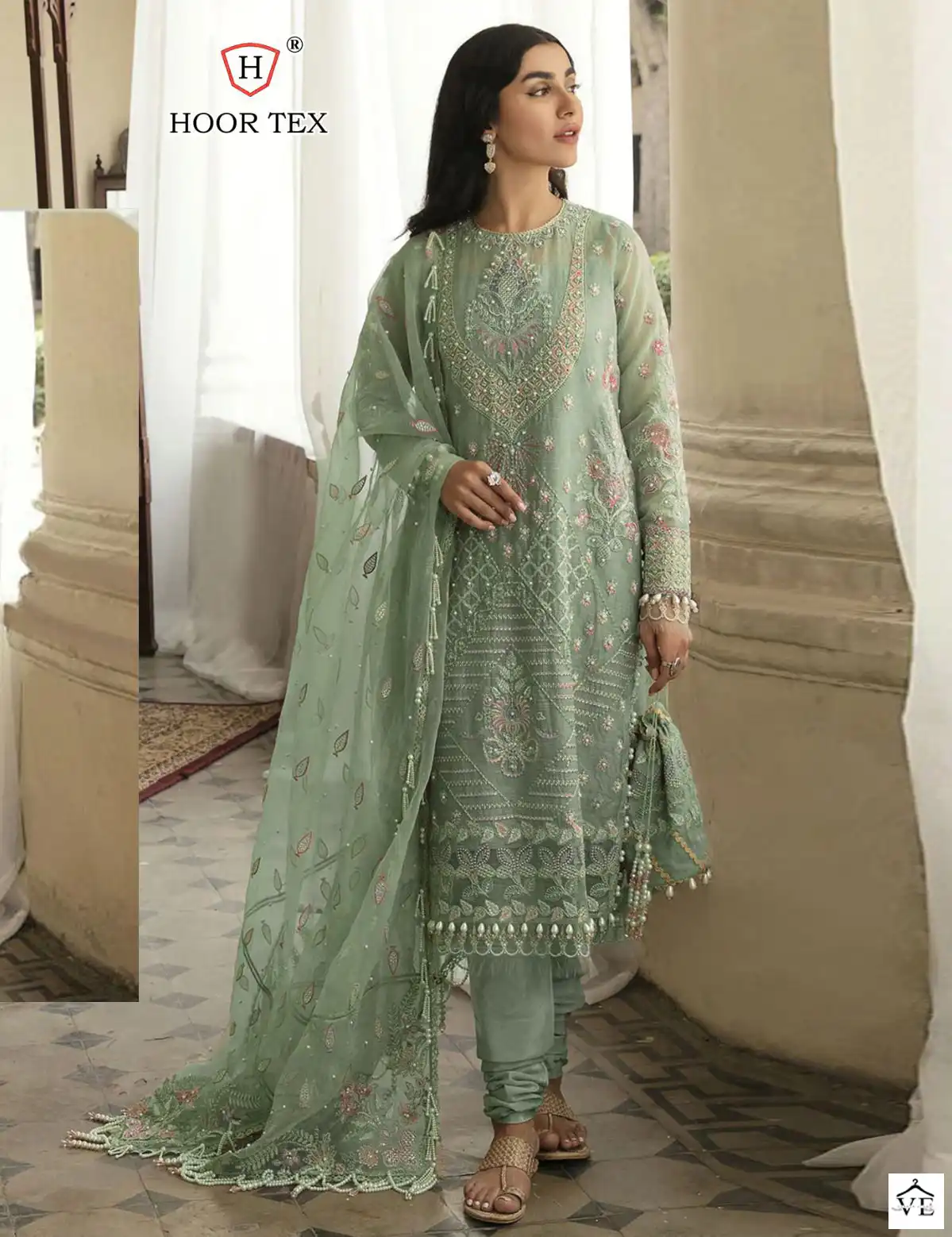 Hoor Tex H-87 Organza Wholesale Pakistani Suits Catalog — Wholesale Salwar Suits, MPA wholesale from Surat - Gallery Image 5