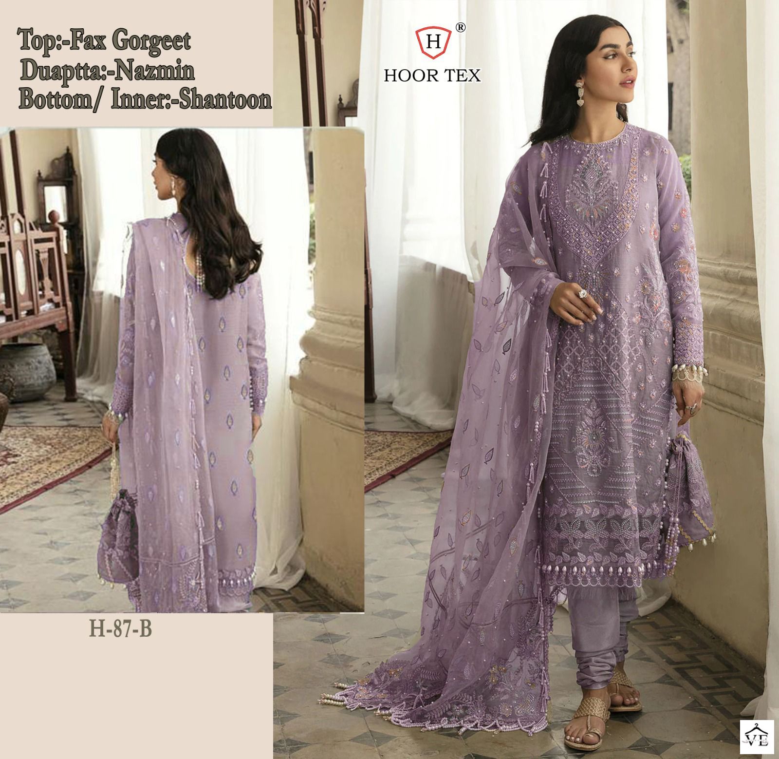Hoor Tex H 87 Foux Georgette Wholesale Pakistani Salwar Suit Catalog — Wholesale Salwar Suits, MPA wholesale from Surat - Gallery Image 2