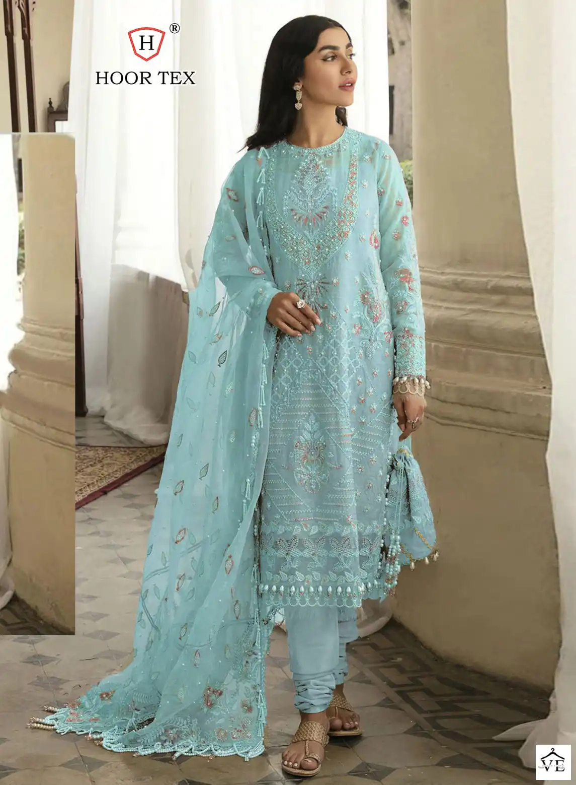 Hoor Tex H-87 Organza Wholesale Pakistani Suits Catalog — Wholesale Salwar Suits, MPA wholesale from Surat - Gallery Image 21