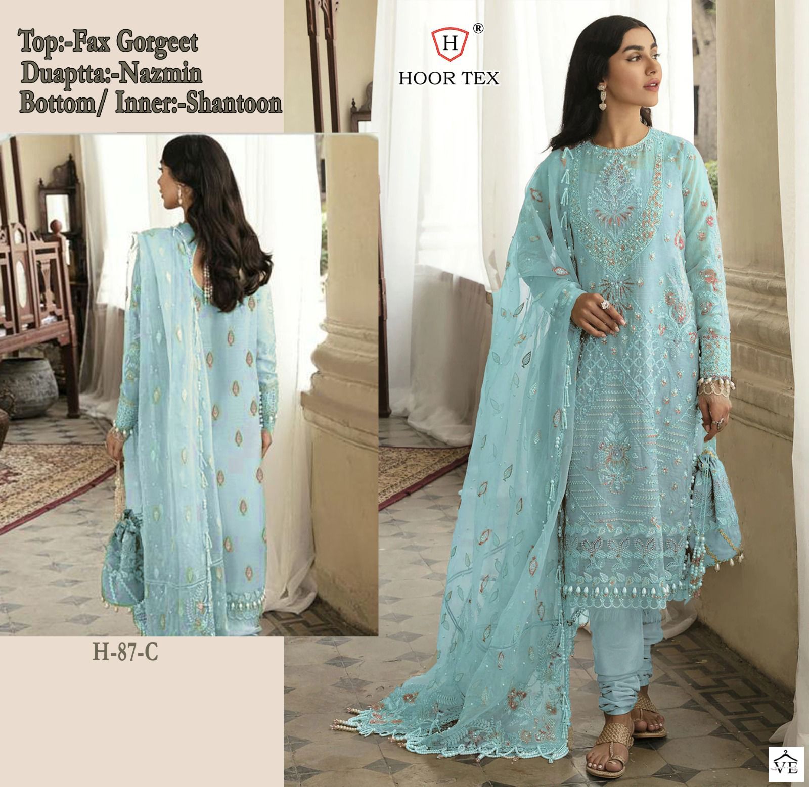 Hoor Tex H 87 Foux Georgette Wholesale Pakistani Salwar Suit Catalog — Wholesale Salwar Suits, MPA wholesale from Surat - Gallery Image 3