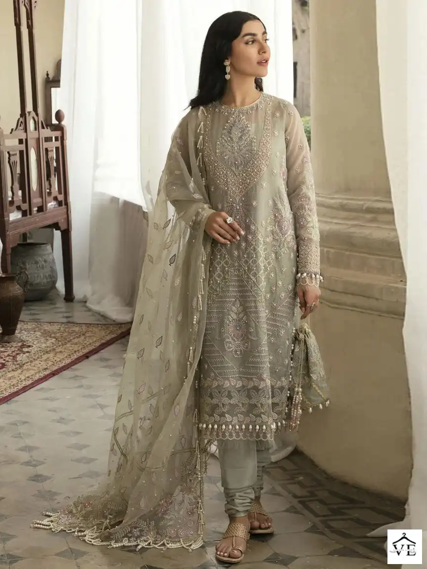 Hoor Tex H-87 Organza Wholesale Pakistani Suits Catalog — Wholesale Salwar Suits, MPA wholesale from Surat — view 1