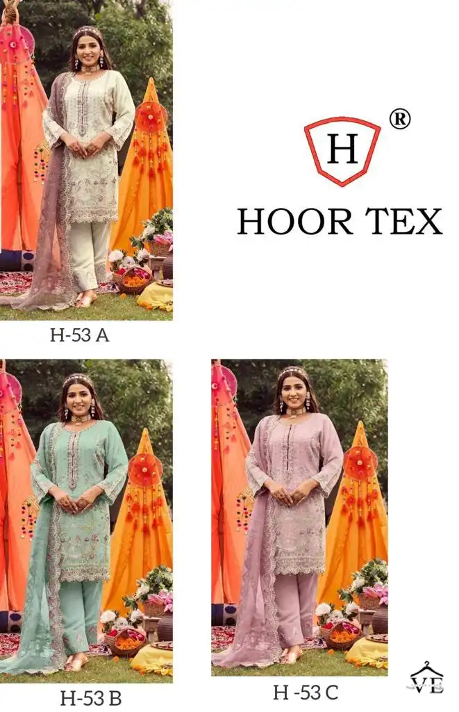 Hoor Tex H 53 Heavy Organza Wholesale Pakistani Salwar Suit Catalog — Wholesale Salwar Suits, MPA wholesale from Surat — view 10