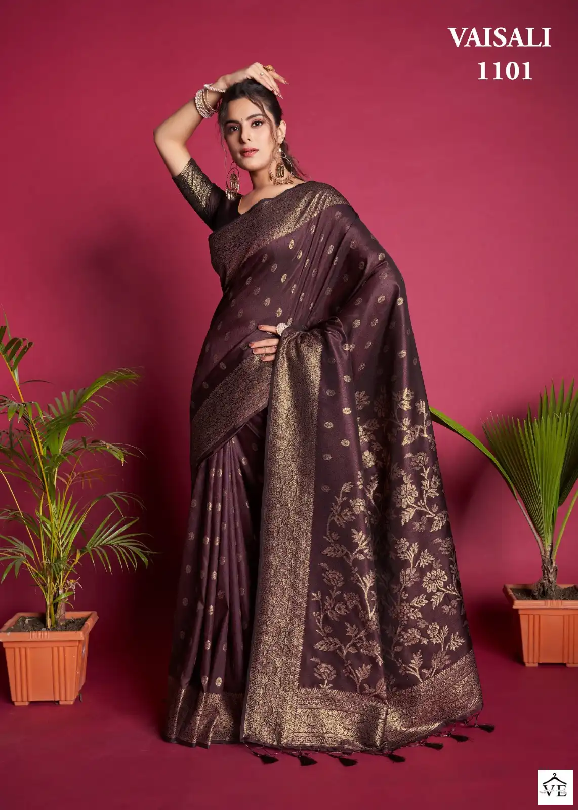 Vardan Ethnic Vaisali Banarasi Raw Silk Wholesale Sarees Catalog — Wholesale Sarees, MPA wholesale from Surat - Gallery Image 2