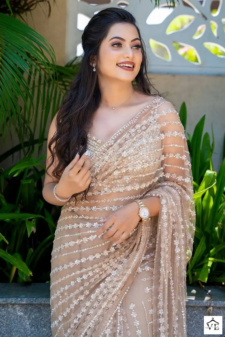 Vardan Ethnic BT-356 Heavy Nylon Butterfly Net Wholesale Saree Catalog — Wholesale Sarees, MPA wholesale from Surat - Gallery Image 9