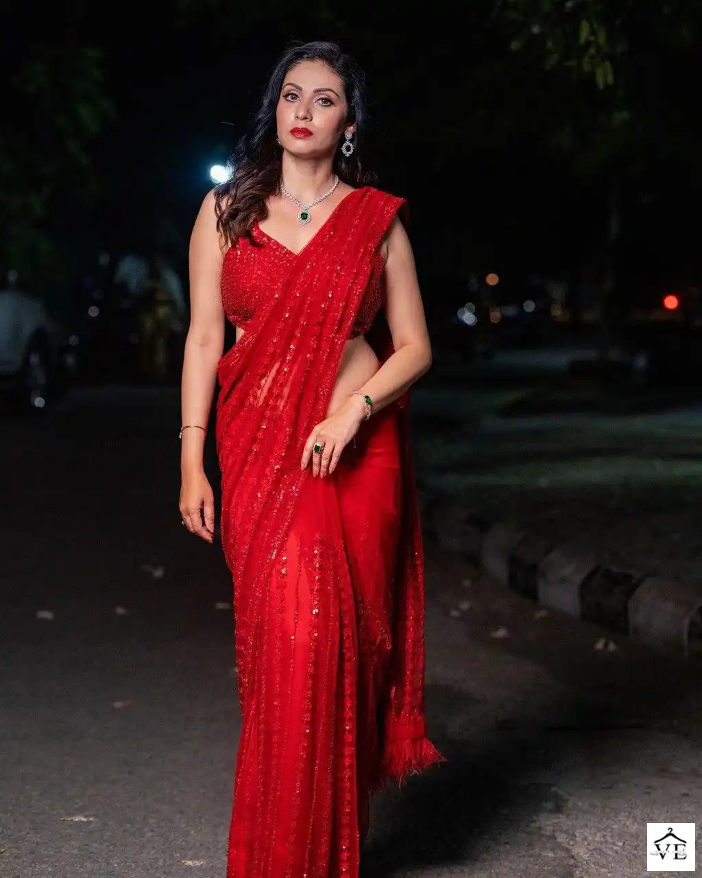 Vardan Ethnic BT-356 Heavy Nylon Butterfly Net Wholesale Saree Catalog — Wholesale Sarees, MPA wholesale from Surat - Gallery Image 3
