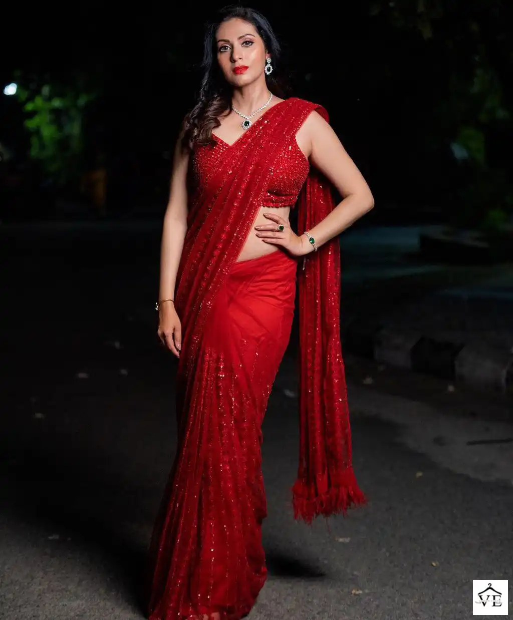 Vardan Ethnic BT-356 Heavy Nylon Butterfly Net Wholesale Saree Catalog — Wholesale Sarees, MPA wholesale from Surat — view 1