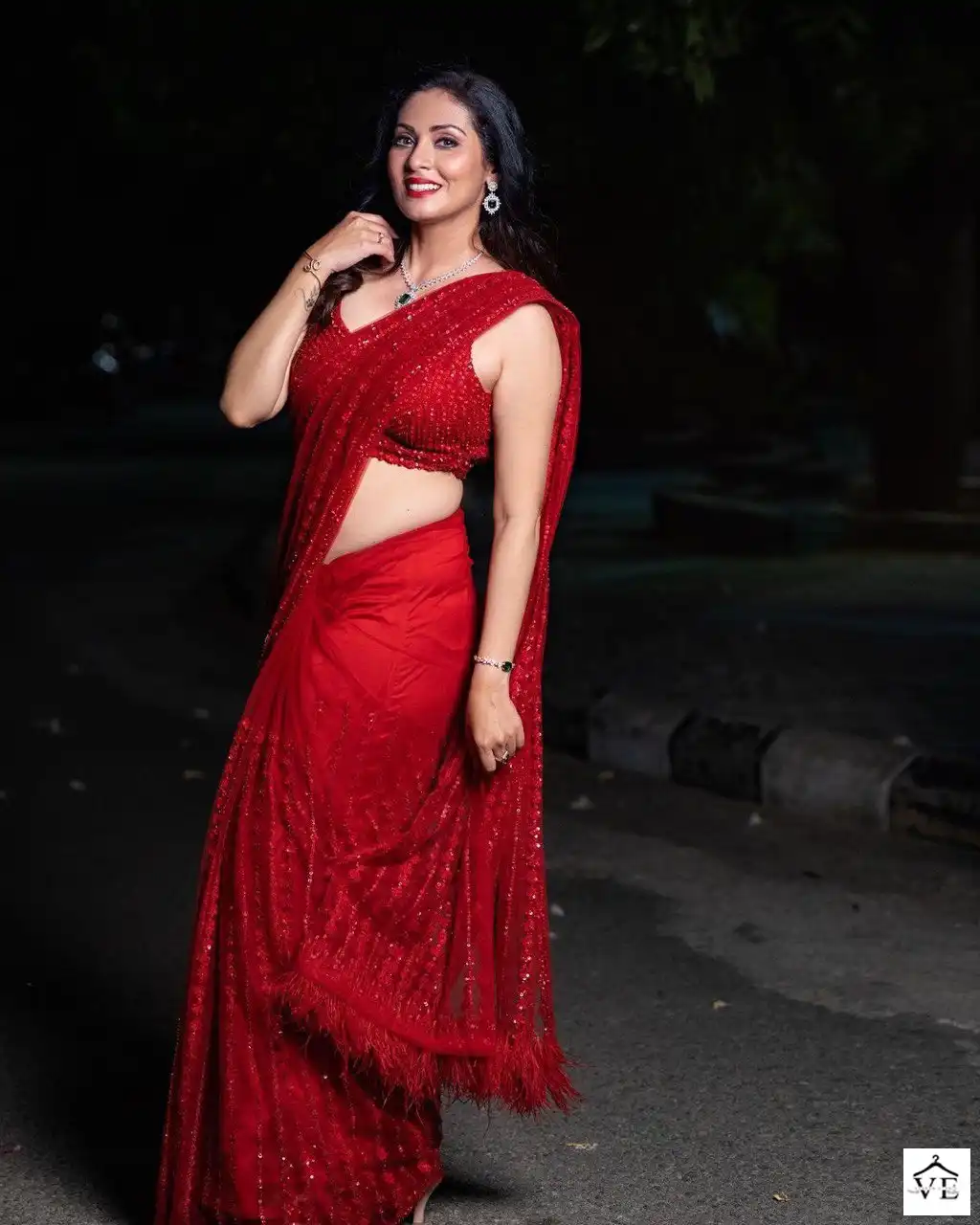 Vardan Ethnic BT-356 Heavy Nylon Butterfly Net Wholesale Saree Catalog — Wholesale Sarees, MPA wholesale from Surat - Gallery Image 5