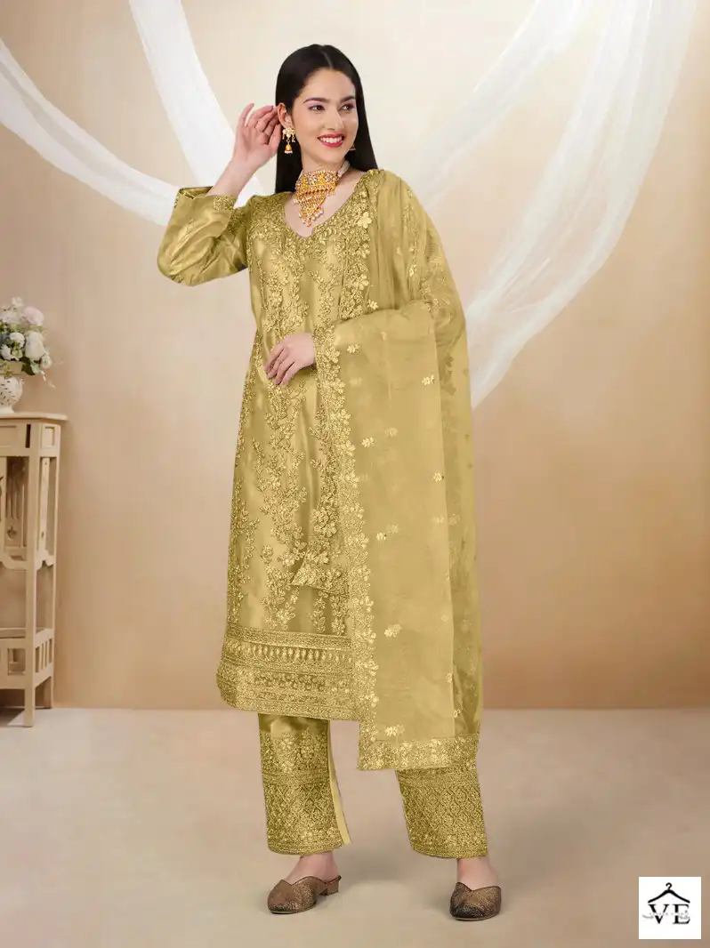 Biva Ahanaa Heavy Butterfly Net Wholesale Designer Salwar Suit Catalog — Wholesale Salwar Suits, MPA wholesale from Surat — view 5