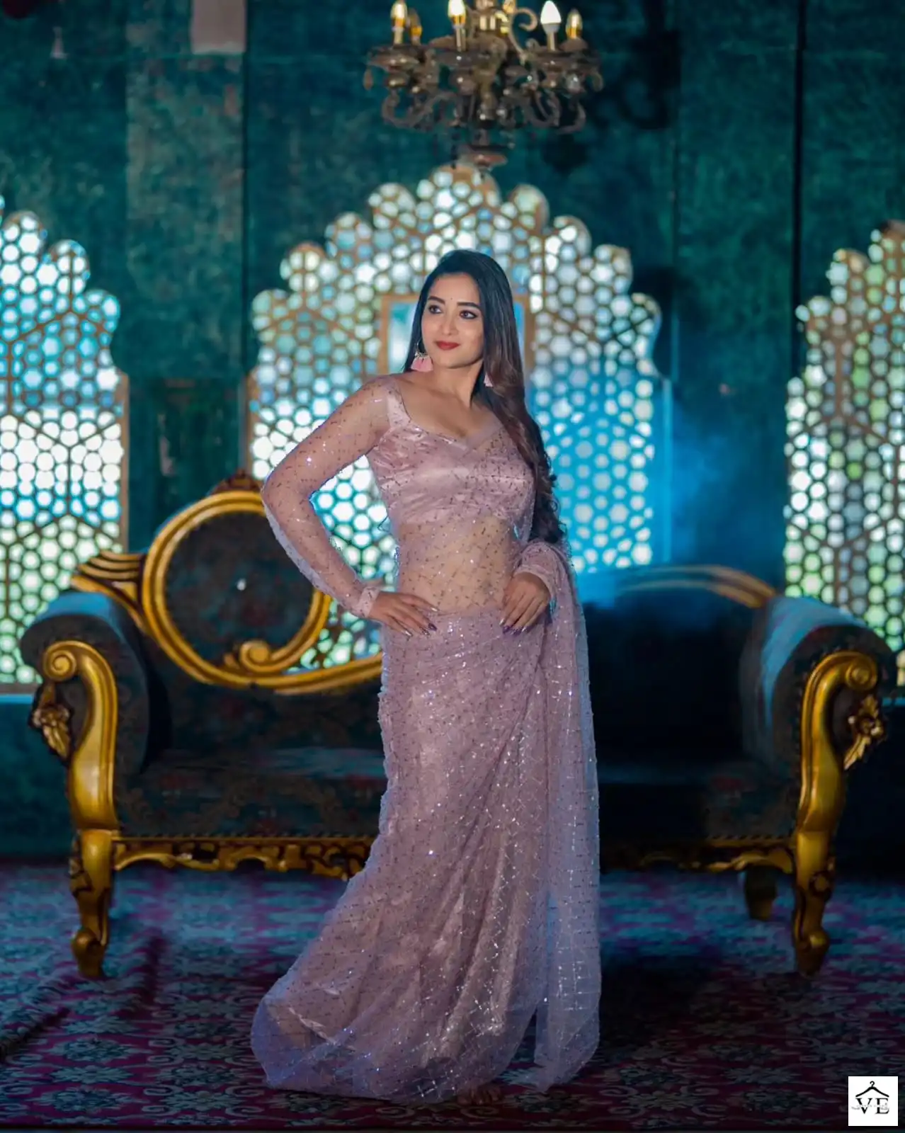 VE BT-3060 Butterfly Soft Net Wholesale Saree — Wholesale Sarees, MPA wholesale from Surat - Gallery Image 5