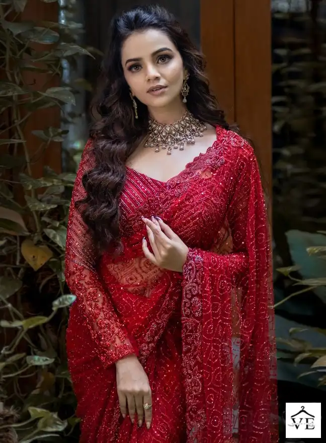 Vardan Ethnic Bt 370 Heavy Nylone Butterfly Net Wholesale Fancy Sarees Catalog — Wholesale Sarees, MPA wholesale from Surat — view 1