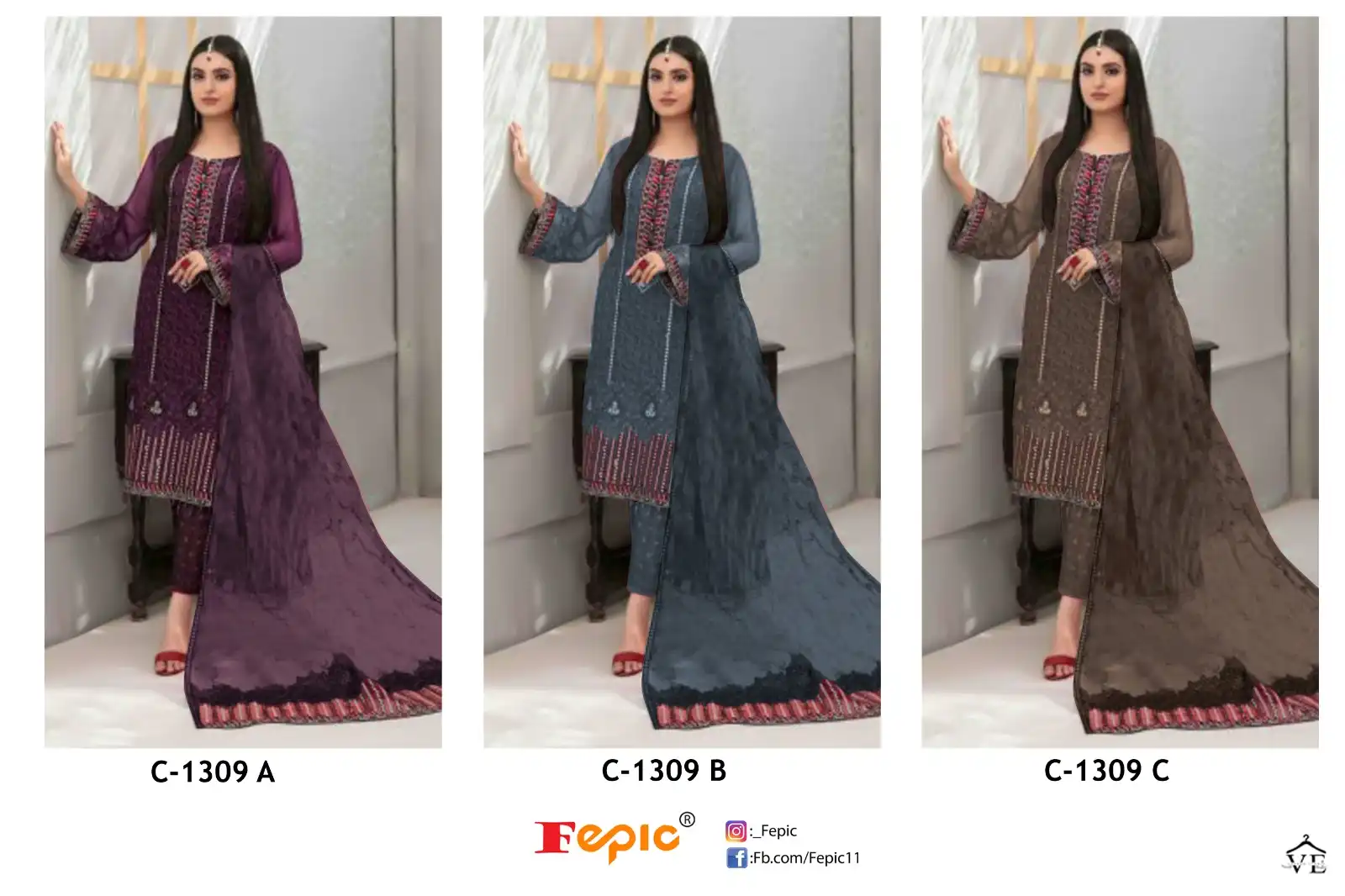 Fepic C-1309 Georgette Wholesale Pakistani Suit Catalog — Wholesale Salwar Suits, MPA wholesale from Surat — view 4