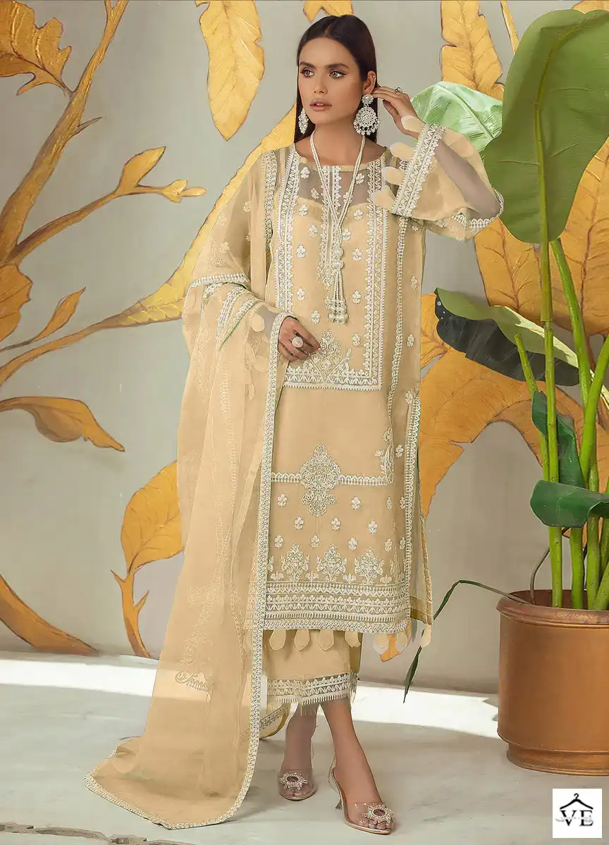 Hoor Tex H-100 B Faux Georgette Wholesale Pakistani Suit — Wholesale Salwar Suits, MPA wholesale from Surat — view 1