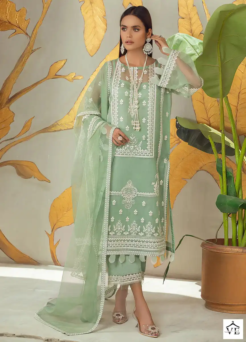 Hoor Tex H-100 A Faux Georgette Wholesale Pakistani Suit Catalog — Wholesale Salwar Suits, MPA wholesale from Surat — view 1