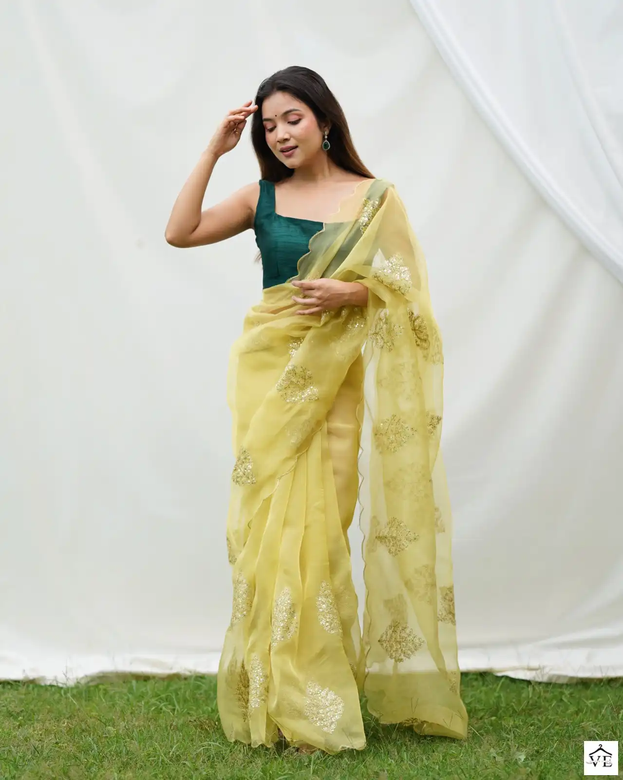Shree Trends Vidhya Organza Wholesale Saree Catalog — Wholesale Sarees, MPA wholesale from Surat - Gallery Image 4