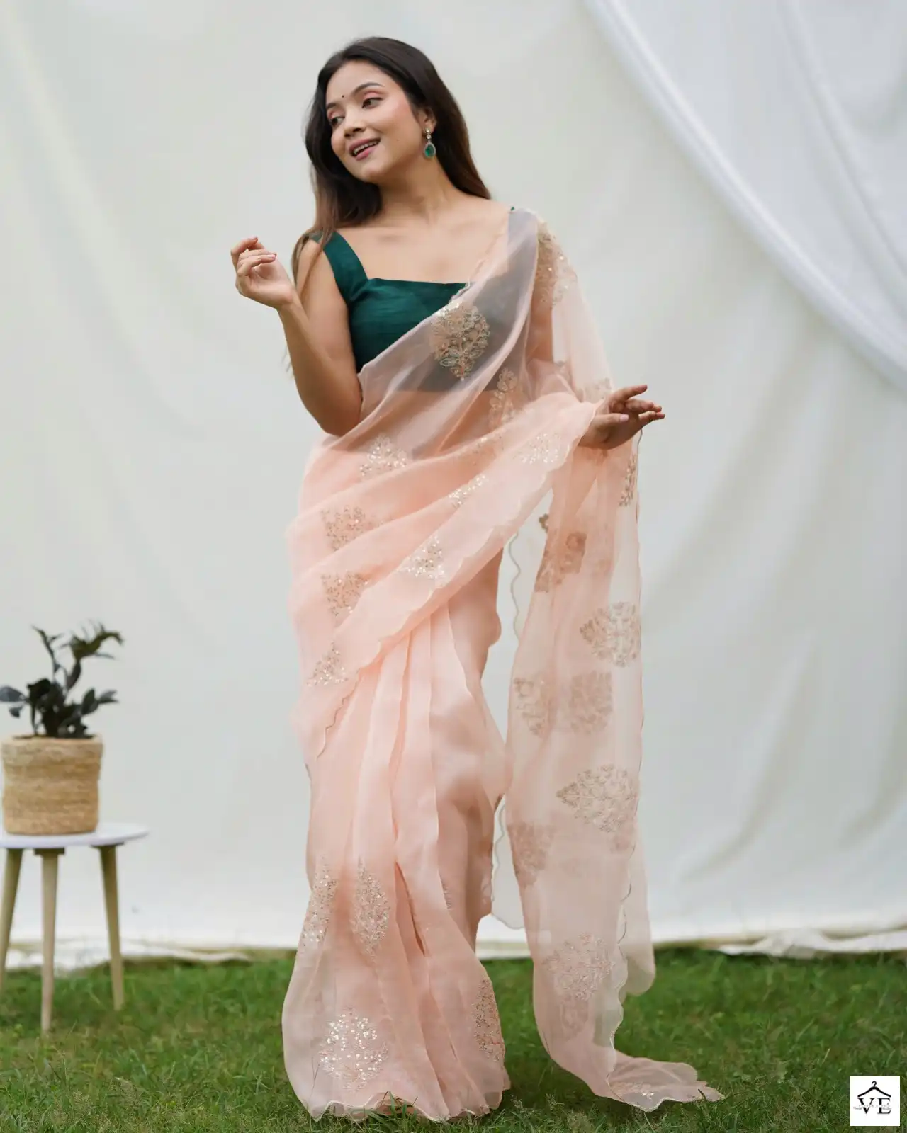 Shree Trends Vidhya Organza Wholesale Saree Catalog — Wholesale Sarees, MPA wholesale from Surat — view 5