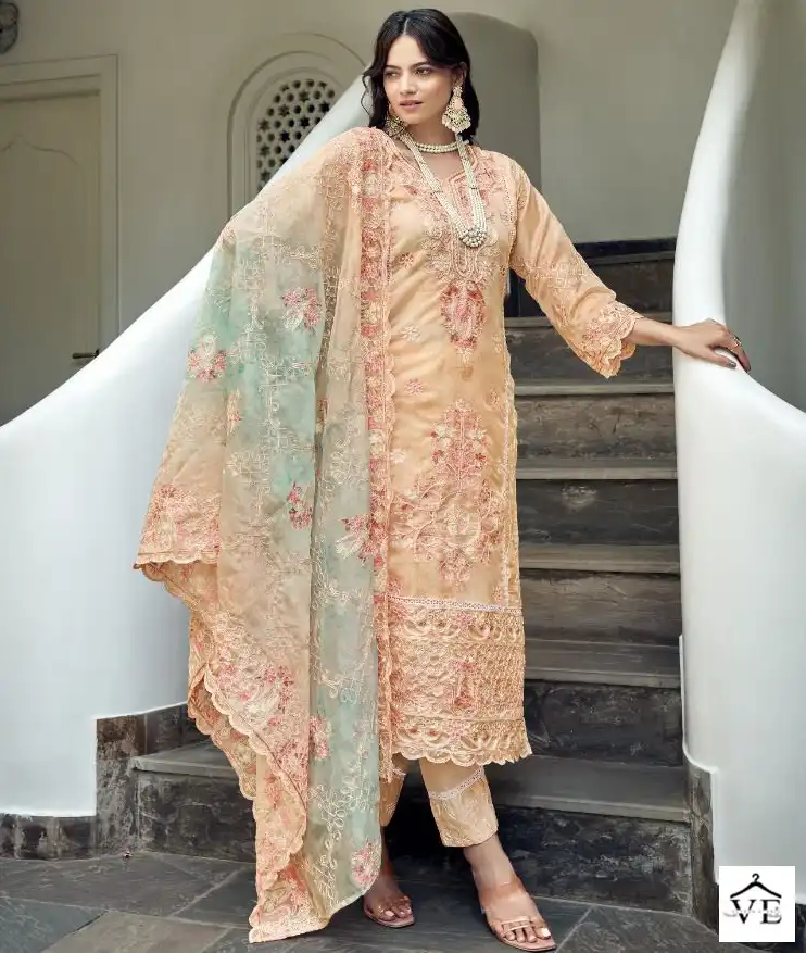 Aanzara Anaisha Organza Wholesale Designer Readymade Salwar Suit Catalog — Wholesale Salwar Suits, MPA wholesale from Surat — view 1