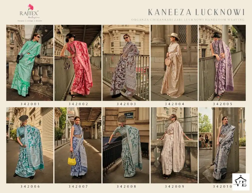 Rajtex Kaneeza Lucknowi Organza Chickankari Wholesale Fancy Sarees Catalog — Wholesale Sarees, MPA wholesale from Surat — view 25
