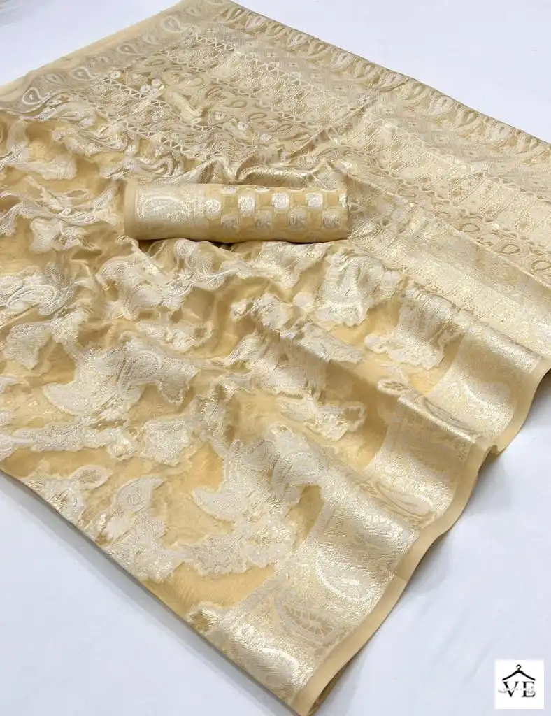 Rajtex Kaneeza Lucknowi Organza Chickankari Wholesale Fancy Sarees Catalog — Wholesale Sarees, MPA wholesale from Surat - Gallery Image 16