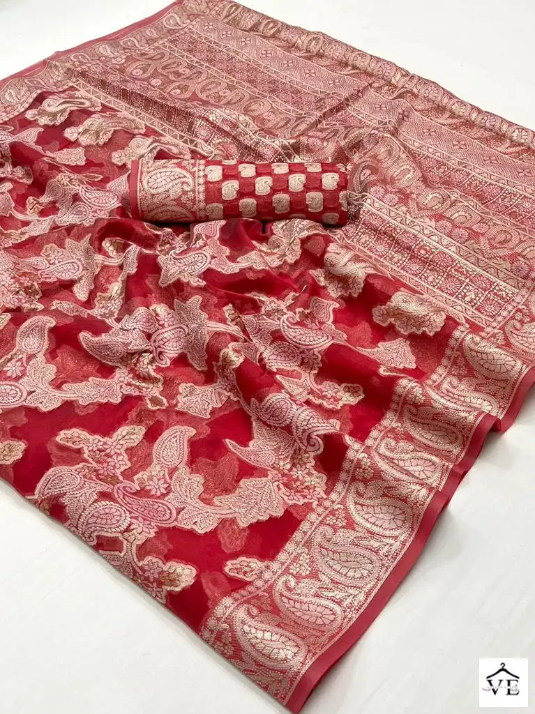 Rajtex Kaneeza Lucknowi Organza Chickankari Wholesale Fancy Sarees Catalog — Wholesale Sarees, MPA wholesale from Surat - Gallery Image 18