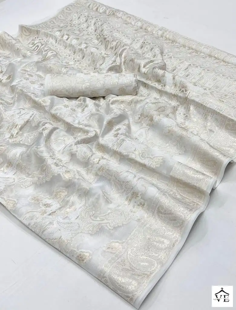 Rajtex Kaneeza Lucknowi Organza Chickankari Wholesale Fancy Sarees Catalog — Wholesale Sarees, MPA wholesale from Surat - Gallery Image 20