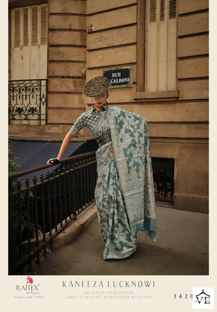 Rajtex Kaneeza Lucknowi Organza Chickankari Wholesale Fancy Sarees Catalog — Wholesale Sarees, MPA wholesale from Surat - Gallery Image 6