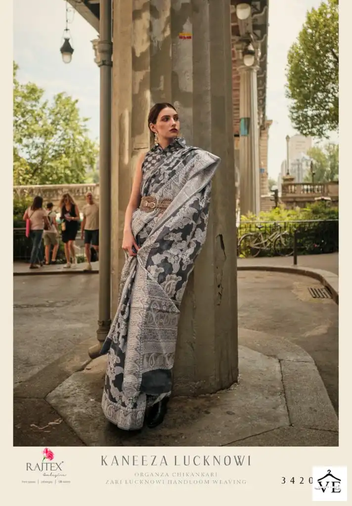 Rajtex Kaneeza Lucknowi Organza Chickankari Wholesale Fancy Sarees Catalog — Wholesale Sarees, MPA wholesale from Surat - Gallery Image 8