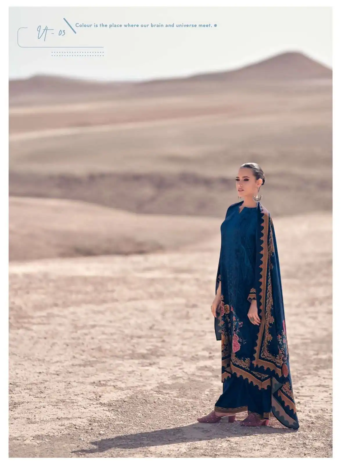 Varsha Valentino Pashmina Wholesale Fancy Hand Work Designer Winter Wear Salwar Suit Catalog — Wholesale Salwar Suits, Varsha wholesale from Surat - Gallery Image 4