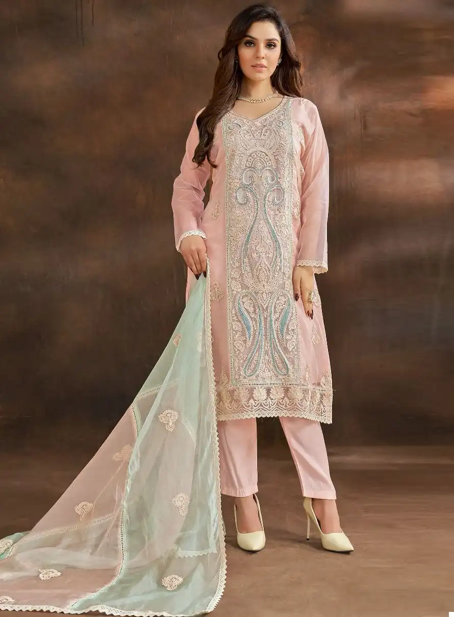 Fepic C 1622 Organza Wholesale Pakistani Salwar Suit Catalog