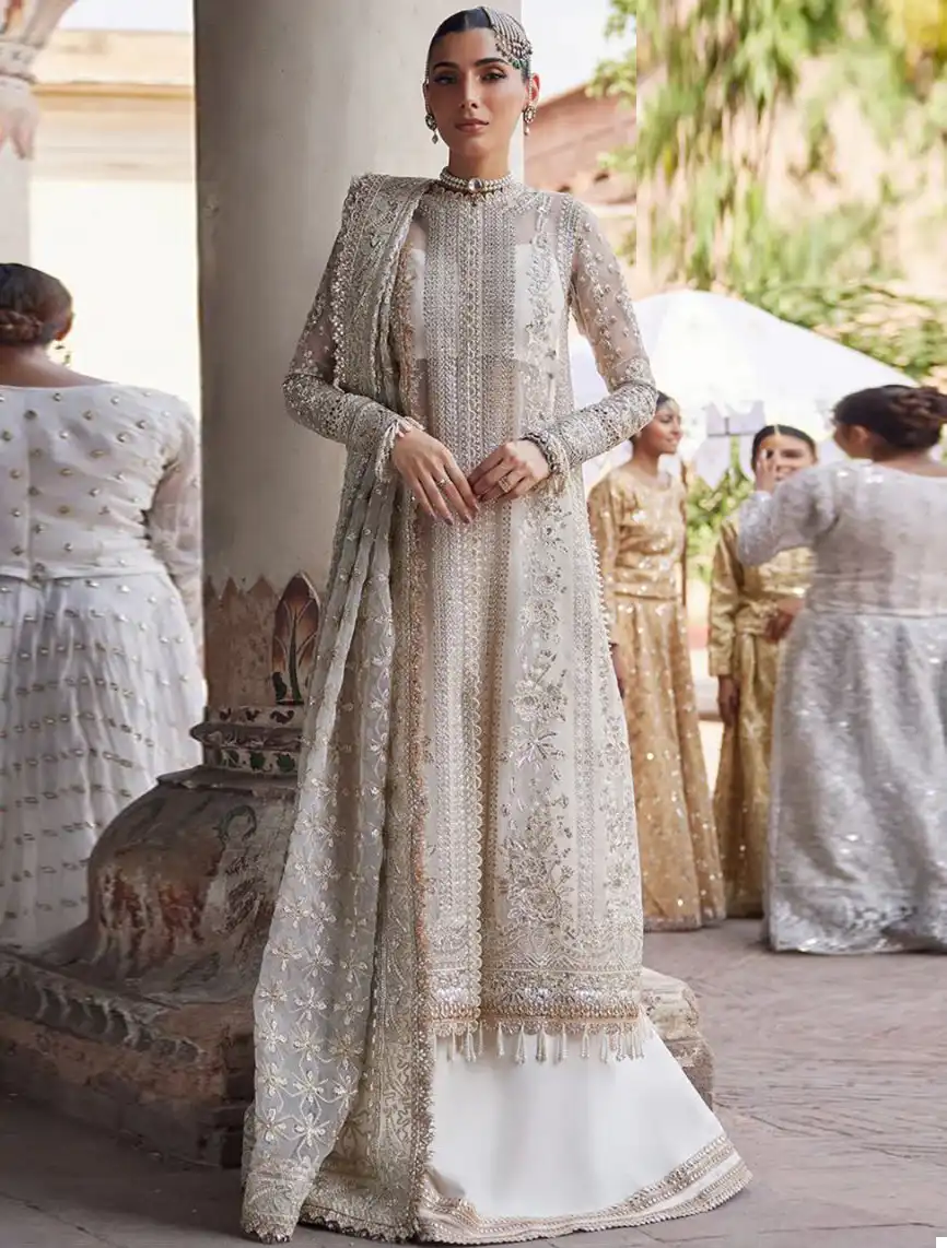 Ziaaz Codes 368 Organza Wholesale Pakistani Salwar Suit Catalog — Wholesale Salwar Suits, MPA wholesale from Surat — view 1