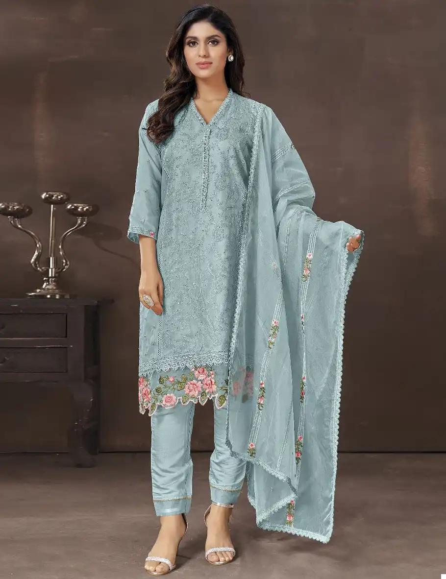 Fepic C-1620 Organza Wholesale Pakistani Salwar Suit Catalog