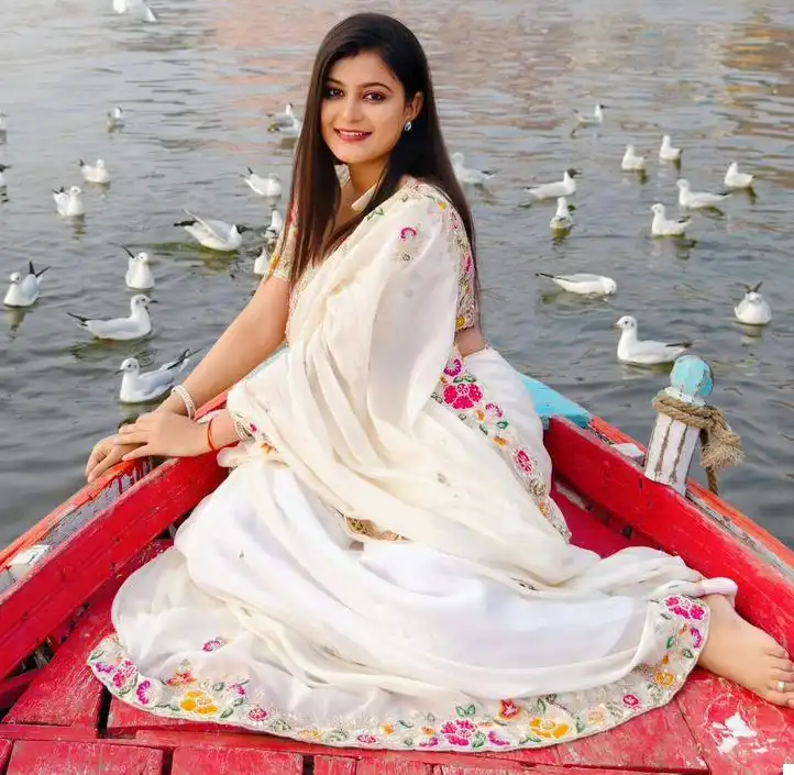 Vardan Ethnic Bt 1213 Premium Diamond Chinon Silk Wholesale Fancy Saree