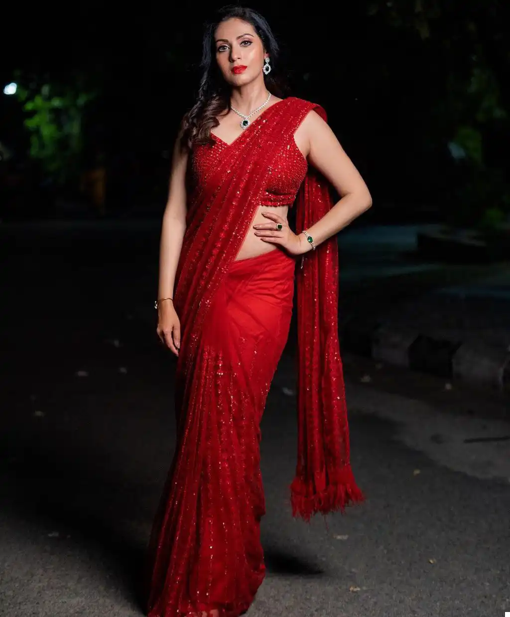 Vardan Ethnic Bt 356 Heavy Nylone Butterfly Net Wholesale Fancy Sarees Catalog