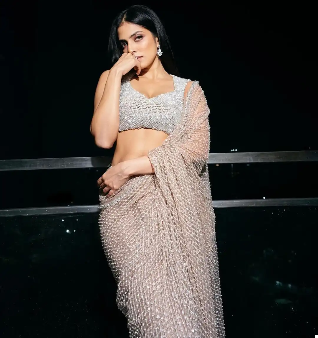 Vardan Ethnic Bt 385 Heavy Nylone Butterfly Net Wholesale Fancy Saree