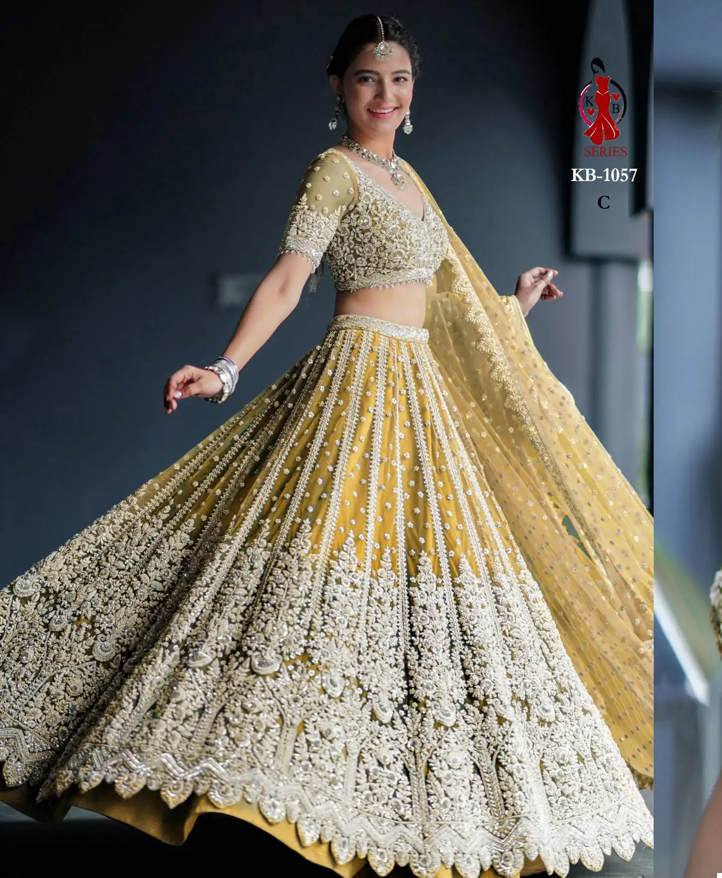 Vardan Ethnic Kb 1057 Heavy Butterfly Net Wholesale Lehenga Catalog