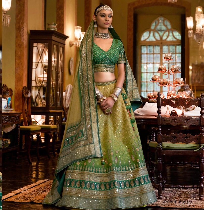 Rewaa Sheeshmahal Rajwadi Silk Wholesale Lehenga Catalog