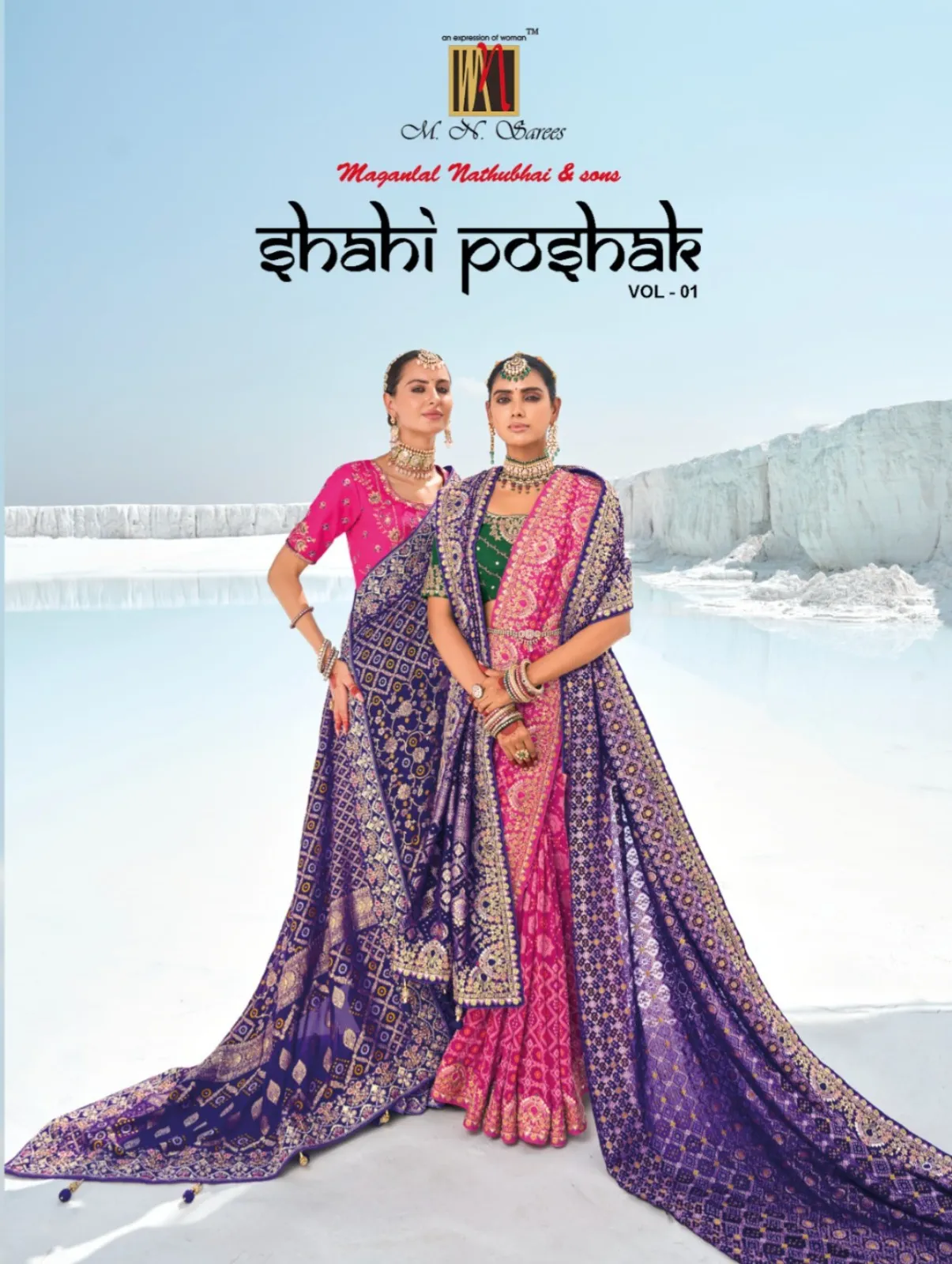 MN Shahi Poshak Silk Banarasi Wholesale Fancy Sarees Collection