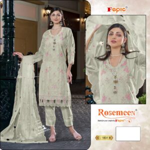 Fepic 1831 Organza Wholesale Pakistani Salwar Suit Catalog - Image 3