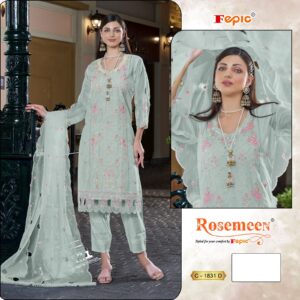 Fepic 1831 Organza Wholesale Pakistani Salwar Suit Catalog - Image 4