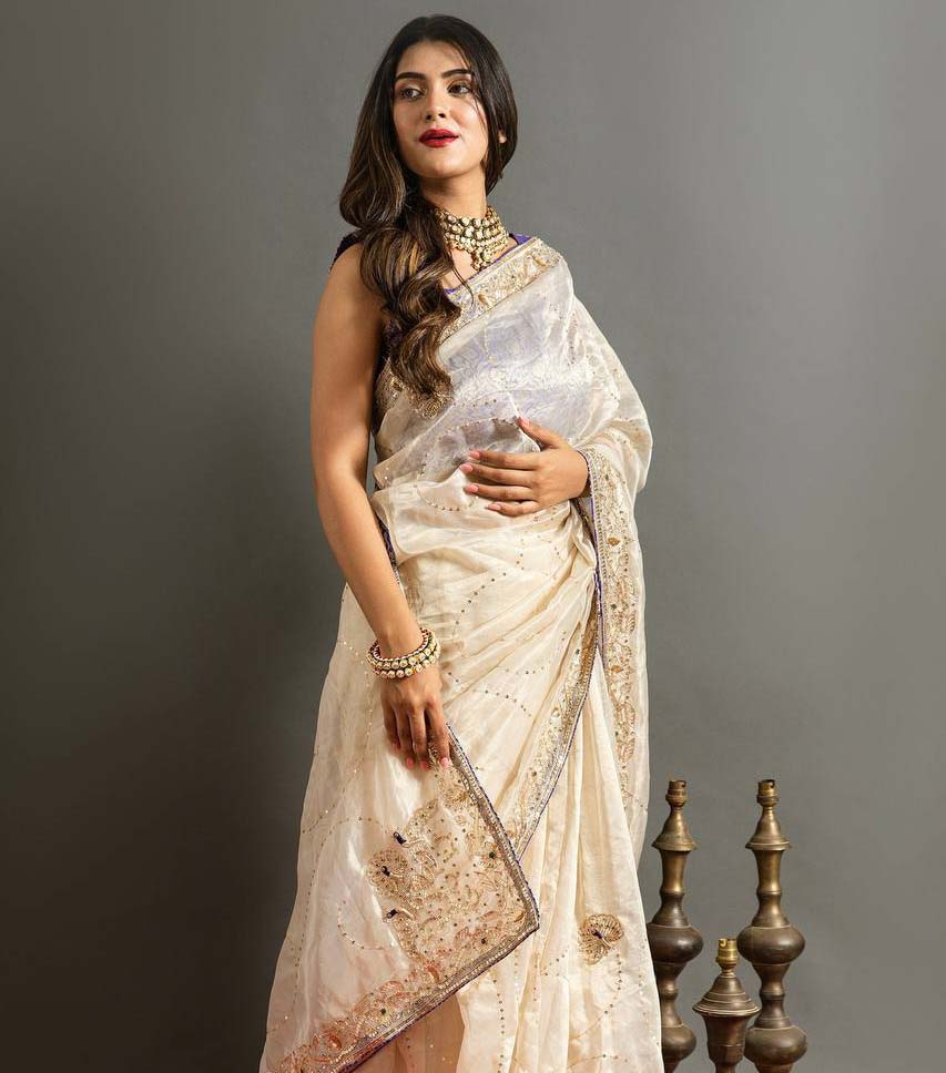 Bt 1250 Pure Soft Jimmy Cho Silk Wholesale Fancy Sarees Catalog