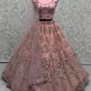 Anjani Art Elegant Baby Pink Net Bridal Lehenga Collection with Multi-Thread Work