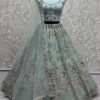 Anjani Art Elegant Net Bridal Lehenga Collection with Multi-Thread Work
