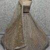 Anjani Art Net Bridal Lehenga with Sequin & Zircon Work