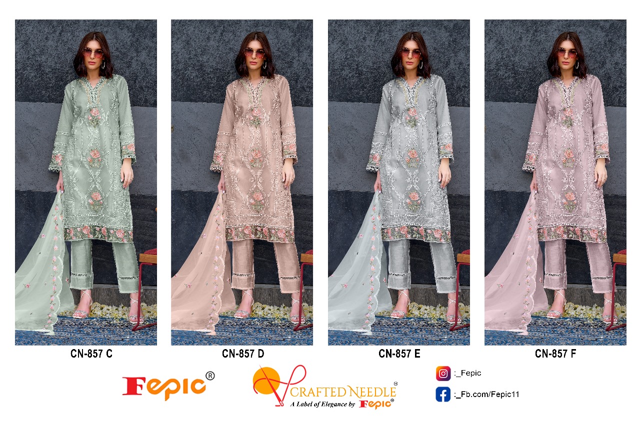 Fepic Cn 857 Organza Wholesale Pakistani Readymade Salwar Suit Catalog - Image 5